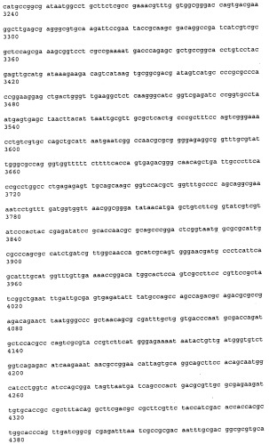 Антитела к рецептору конечных продуктов глубокого гликирования (rage) и их применения (патент 2518351)