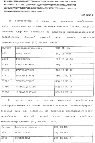 Антитела, сконструированные на основе цистеинов, и их конъюгаты (патент 2412947)