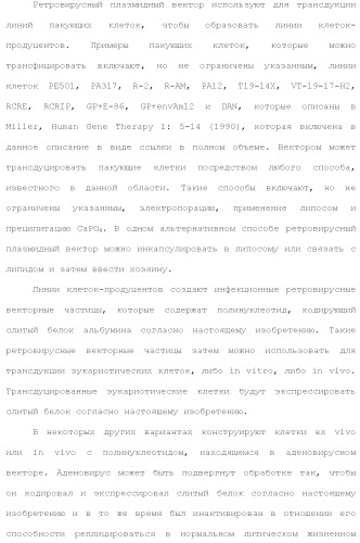 Слитые белки альбумина (патент 2369404)