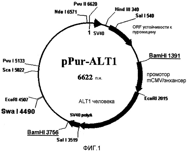 Способ получения гетерологичных белков (патент 2487168)