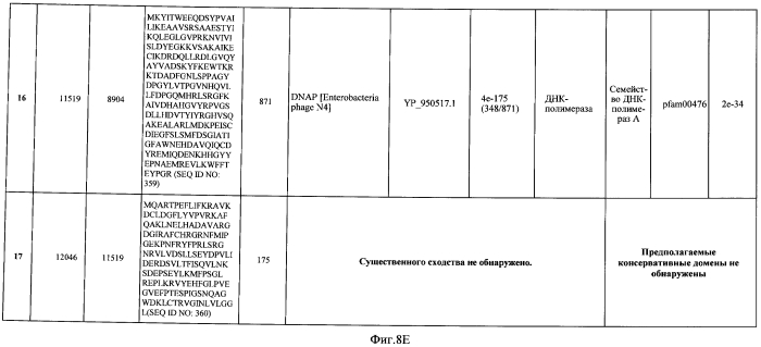 Бактериофаг, обладающий активностью против pseudomonas aeruginosa, белки бактериофага и способы их применения (патент 2580248)