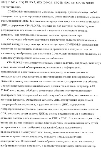 Терапевтические связывающие молекулы в виде химерного антитела (патент 2405790)