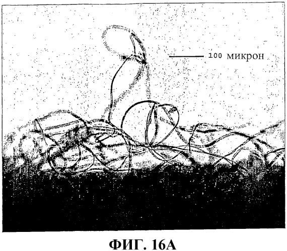 Застежки на основе пеноматериала (патент 2376915)