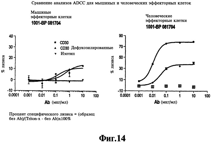 Выделенное анти-cd30 антитело (варианты), хозяйская клетка, способ получения химерного или гуманизированного варианта анти-cd30 антител (варианты), способ ингибирования роста клеток cd30+ и способ ингибирования роста опухолевых клеток, экспрессирующих cd30 (патент 2492186)