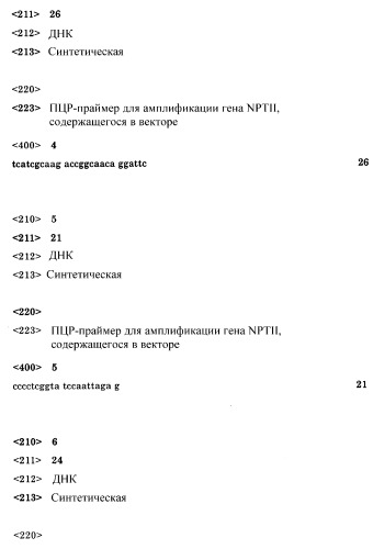 Картофель с повышенным выходом крахмала в пересчете на отдельное растение и способ его получения (патент 2289914)