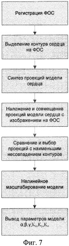 Способ автоматического определения размеров и положения сердца пациента по флюорографическим снимкам (патент 2372844)