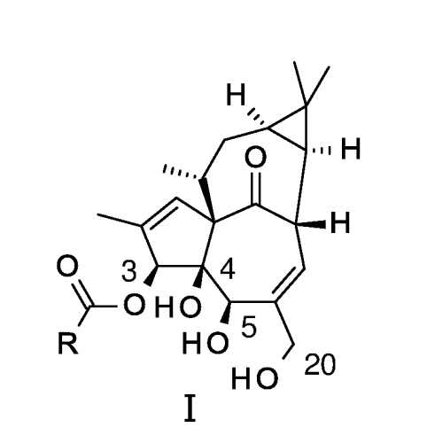 Ингенол-3-ацилаты i (патент 2575349)