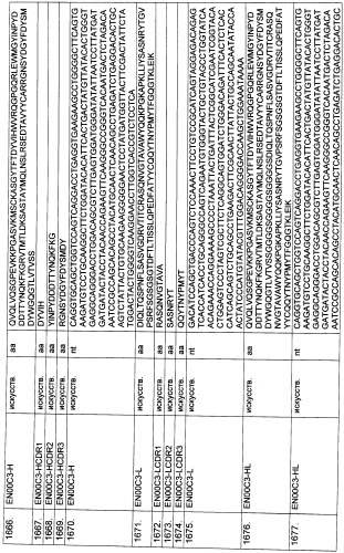 Pscaxcd3, cd19xcd3, c-metxcd3, эндосиалинxcd3, epcamxcd3, igf-1rxcd3 или fap-альфаxcd3 биспецифическое одноцепочечное антитело с межвидовой специфичностью (патент 2547600)