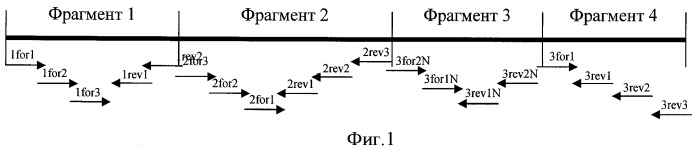 Рекомбинантная плазмидная днк pet32m/mtrx-rhil-11, кодирующая интерлейкин -11 человека, способ ее получения и штамм escherichia coli bl21(de3)/pet32m/mtrx-rhil-11 - продуцент рекомбинантного интерлейкина-11 (патент 2426787)