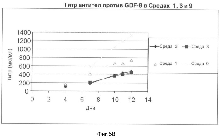 Получение рекомбинантного белка pфно-lg (патент 2458988)