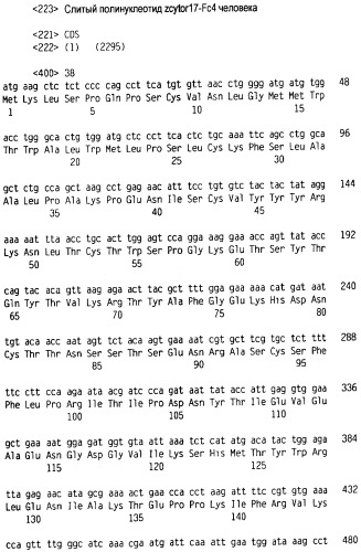Новый лиганд рецептора цитокина zcytor17 (патент 2490276)