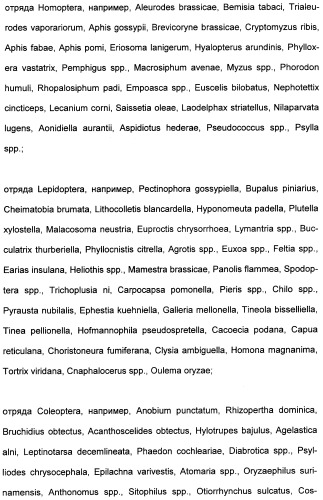 Цис-алкоксизамещенные спироциклические производные 1-h- пирролидин-2, 4-диона в качестве средств защиты от вредителей (патент 2340601)