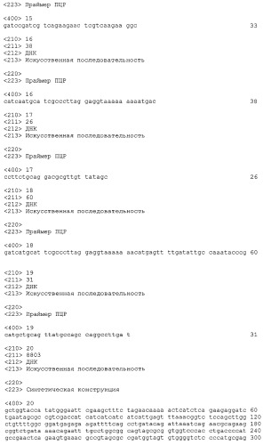 Композиции и способы получения изопрена, не содержащего с5-углеводородов в условиях нарушения взаимосвязи между продуцированием изопрена и ростом клеток и/или в условиях продуцирования изопрена на безопасных рабочих уровнях (патент 2563513)