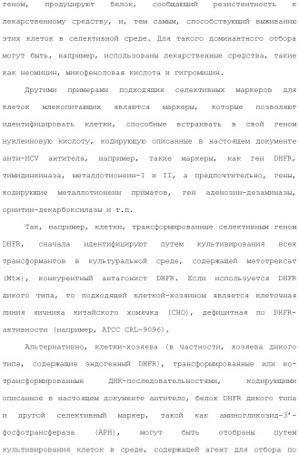 Антитела против вируса гепатита с (патент 2462475)