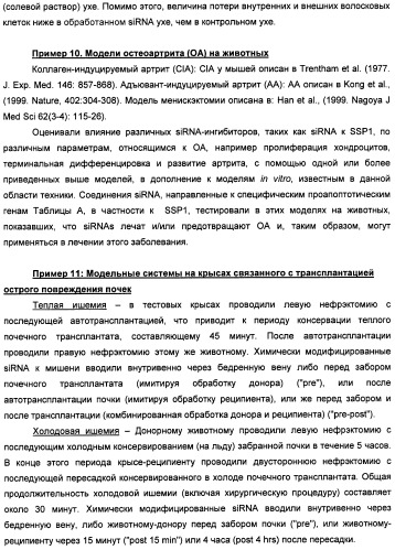 Новые структуры малых интерферирующих рнк (sirna) (патент 2487716)