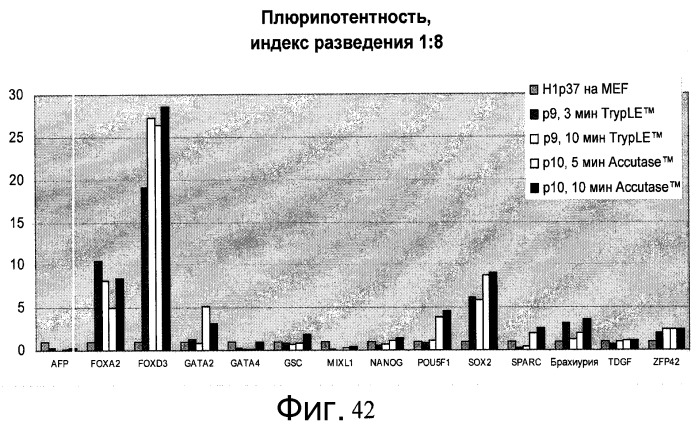 Культура плюрипотентных стволовых клеток на микроносителях (патент 2555538)