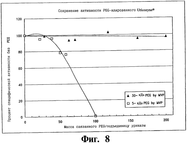 Конъюгаты уратоксидазы, фармацевтическая композиция для снижения уровней мочевой кислоты и способ получения вышеупомянутых конъюгатов (патент 2443426)