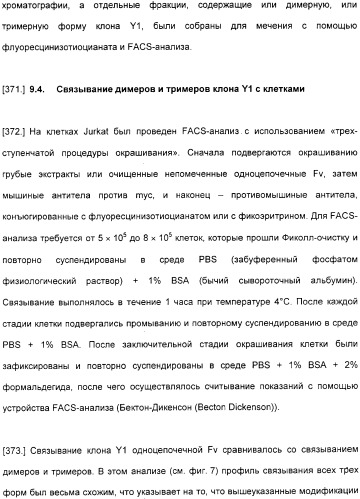 Специфические антитела человека для избирательной терапии рака (патент 2316564)