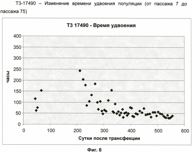 Теломеразная обратная транскриптаза птиц (патент 2415867)