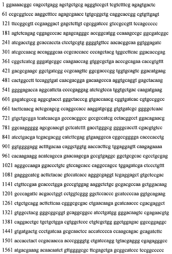 Применение hsp70 в качестве регулятора ферментативной активности (патент 2571946)