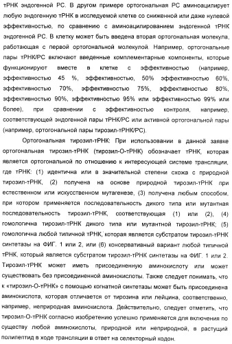Селективная посттрансляционная модификация экспонируемых фагами полипептидов (патент 2459866)