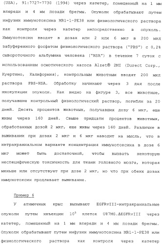 Scfv против egfrviii с улучшенной цитотоксичностью и выходом, иммунотоксины на их основе и способы их применения (патент 2317999)