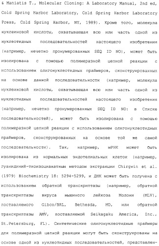 Гены corynebacterium glutamicum, кодирующие белки метаболических путей (патент 2306339)