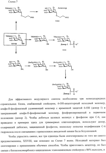 Иммуногены для вакцин против менингита а (патент 2412944)