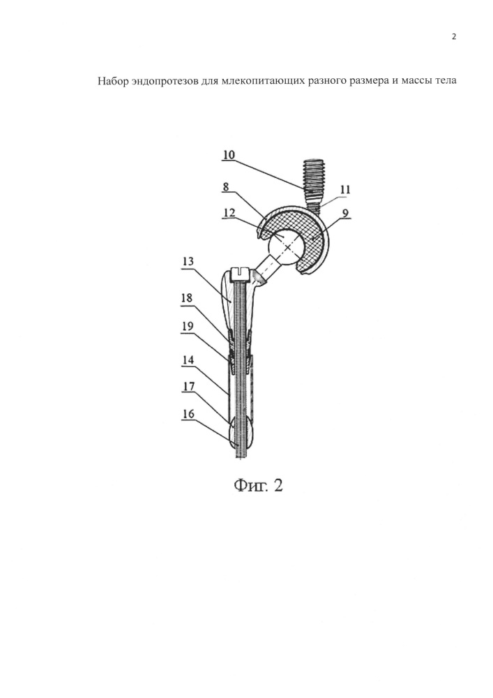 Набор разъемных эндопротезов для бесцементной фиксации в костях для млекопитающих животных (патент 2662419)