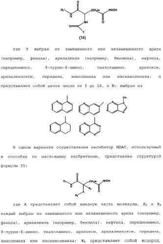 Способы лечения рака с использованием ингибиторов hdac (патент 2356547)