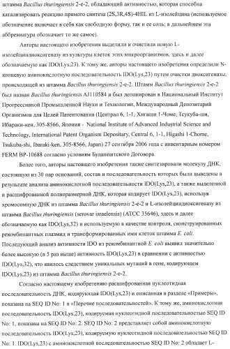 Способ продукции 4-гидрокси-l-изолейцина (патент 2402608)