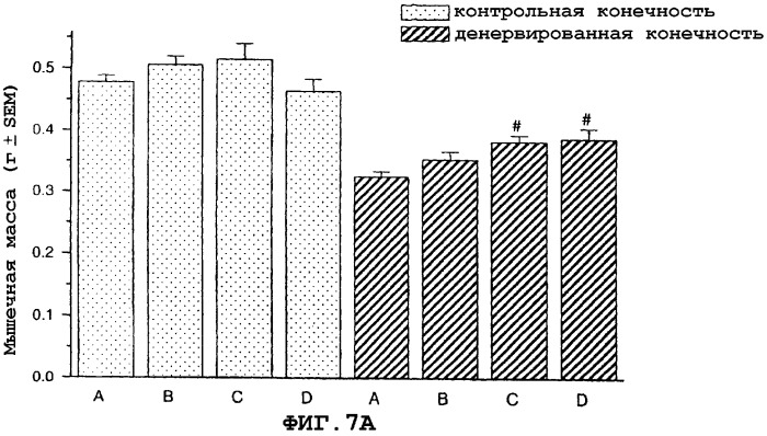 Способы идентификации соединений для регуляции мышечной массы или функции с применением рецепторов рилизинг-фактора кортикотропина (патент 2260805)