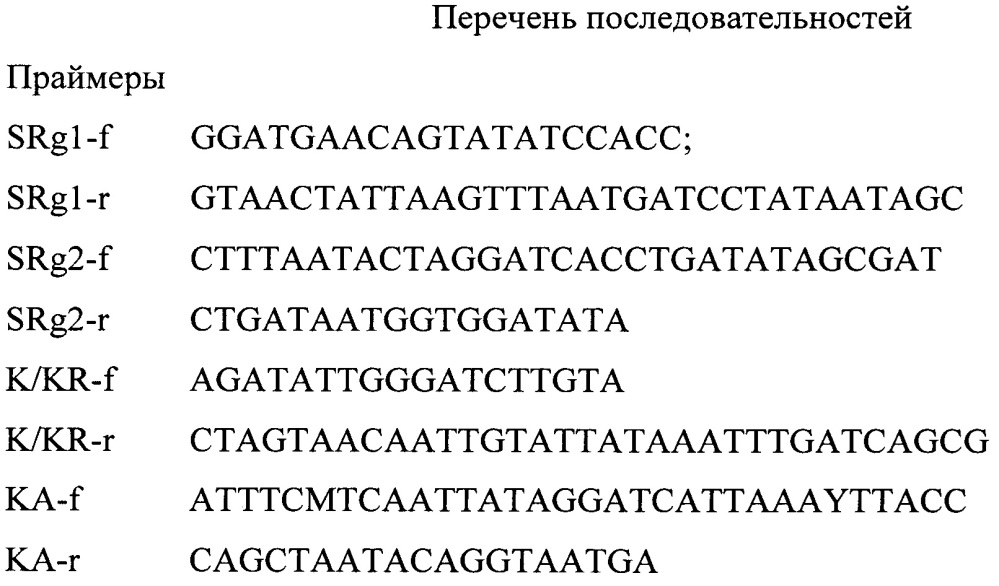 Способ дифференциации ключевых пород медоносных пчел в россии на основе мутагенной пцр-пдрф (патент 2653435)
