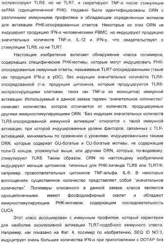 Мотивы последовательности рнк в контексте определенных межнуклеотидных связей, индуцирующие специфические иммуномодулирующие профили (патент 2435851)