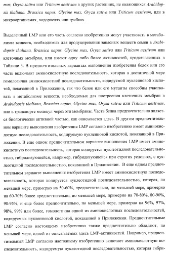 Молекулы нуклеиновых кислот, кодирующие wrinkled1-подобные полипептиды, и способы их применения в растениях (патент 2385347)