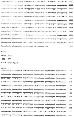 Р185neu-кодирующая днк и ее терапевтические применения (патент 2350652)