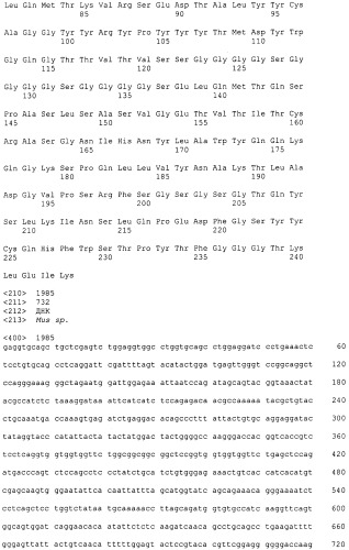 Pscaxcd3, cd19xcd3, c-metxcd3, эндосиалинxcd3, epcamxcd3, igf-1rxcd3 или fap-альфаxcd3 биспецифическое одноцепочечное антитело с межвидовой специфичностью (патент 2547600)