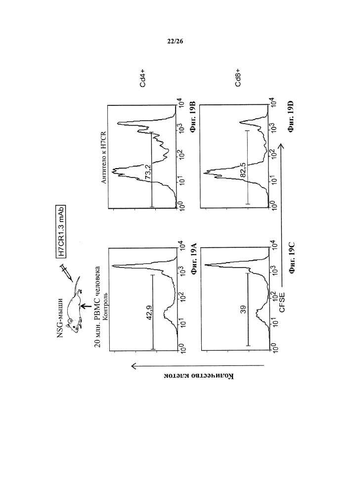 Антитела к h7cr (патент 2650756)