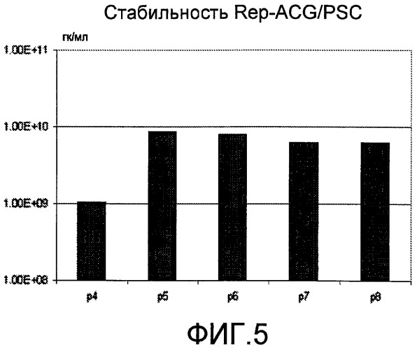 Aav векторы с усовершенствованными rep-кодирующими последовательностями, используемыми в системах продукции на основе клеток насекомых (патент 2457252)