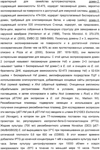 Нейссериальные вакцинные композиции, содержащие комбинацию антигенов (патент 2317106)