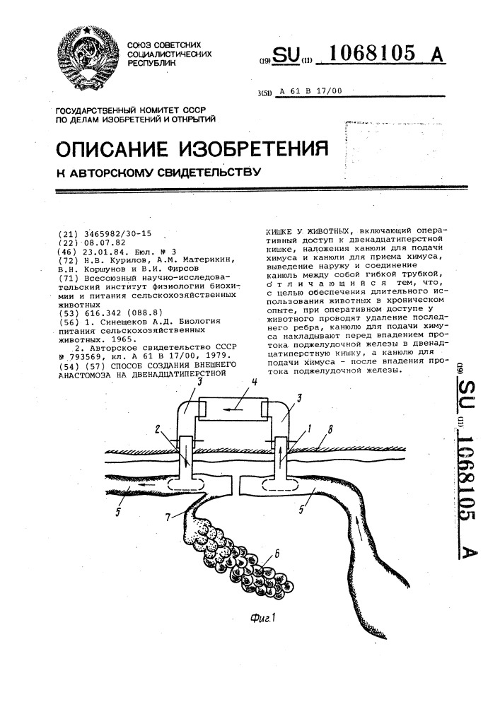 Способ создания внешнего анастомоза на двенадцатиперстной кишке у животных (патент 1068105)