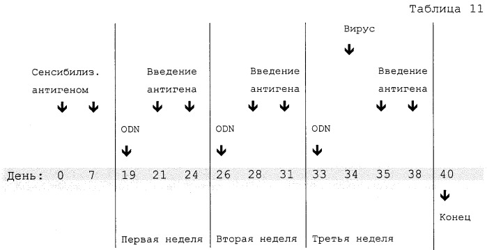 Полумягкие иммуностимулирующие олигонуклеотиды с-класса (патент 2393223)