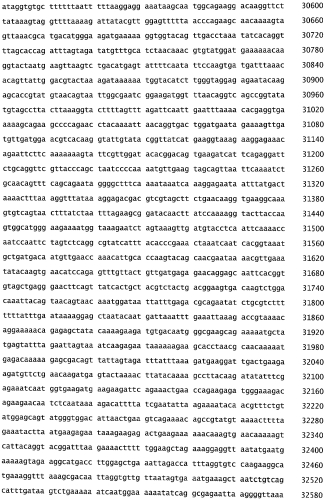 Бактериофаг, обладающий активностью против pseudomonas aeruginosa, белки бактериофага и способы их применения (патент 2580248)
