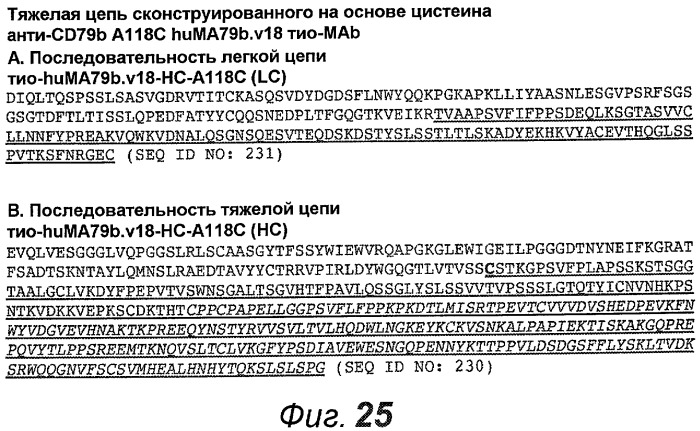 Анти-cd79b антитела и иммуноконъюгаты и способы их применения (патент 2511410)