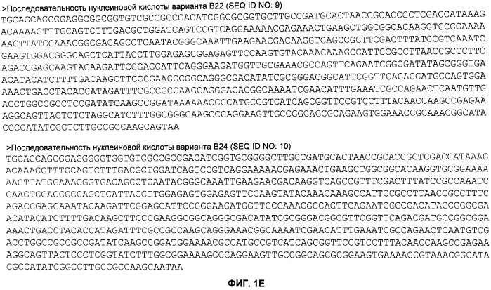 Нелипидизированные варианты антигенов neisseria meningitidis orf2086 (патент 2546873)