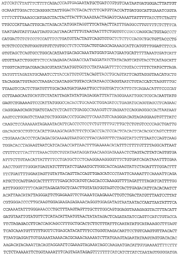 Применение s1p (патент 2362565)