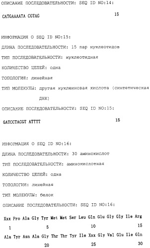 Полипептид, расщепляющий полисахарид, содержащий сульфатированную фукозу, кодирующая его днк, способ его получения, экспрессирующий вектор, способ получения трансформированной e.coli (патент 2246539)