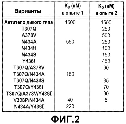 Варианты иммуноглобулина и их применения (патент 2536937)