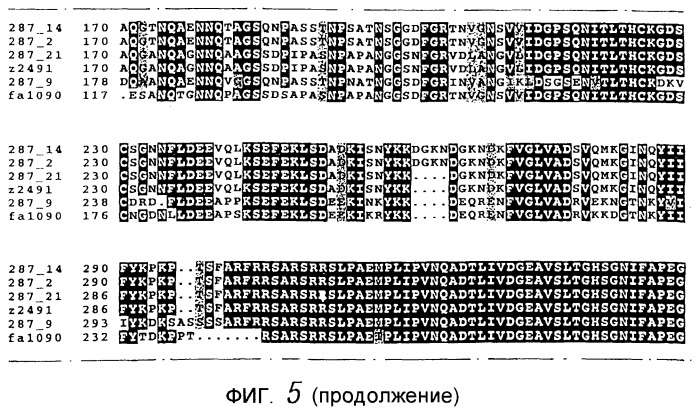 Антиген neisseria, кодирующая его нуклеиновая кислота, их использование (патент 2245366)