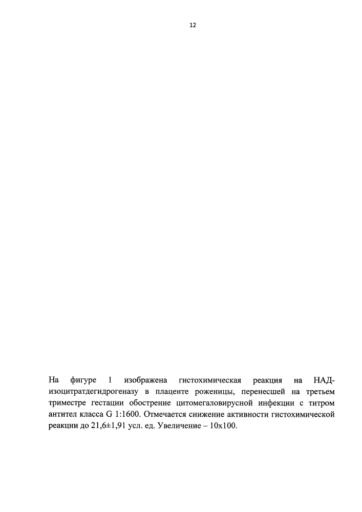 Способ оценки влияния цитомегаловирусной инфекции на активность над-зависимой изоцитратдегидрогеназы в синцитиотрофобласте ворсинок плаценты на третьем триместре беременности (патент 2597846)